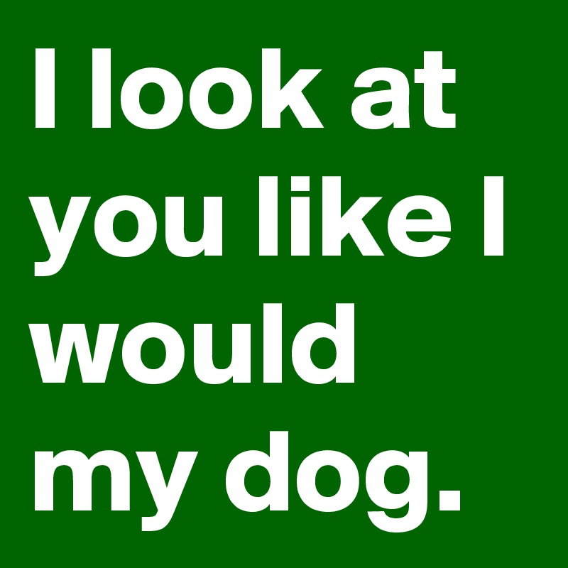 I look at you like I would my dog.