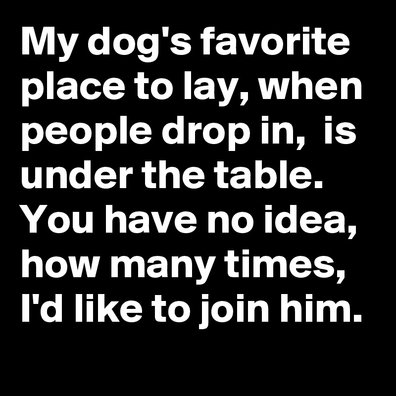 My dog's favorite place to lay, when people drop in,  is under the table.
You have no idea, how many times, I'd like to join him. 
