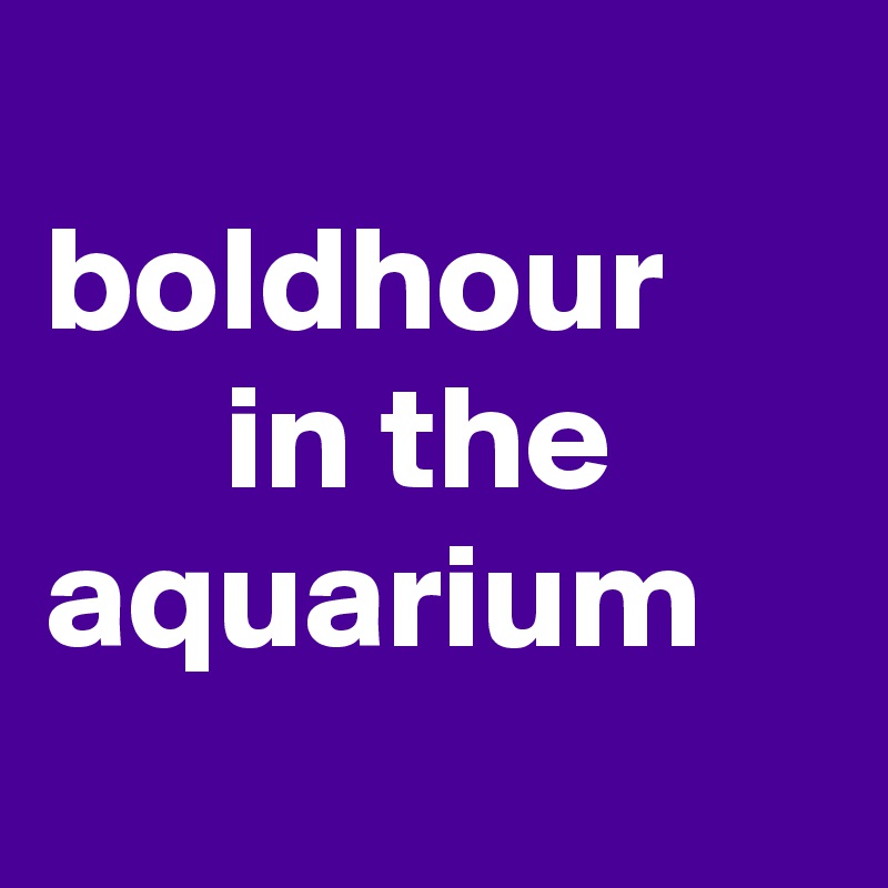 
boldhour           in the aquarium
