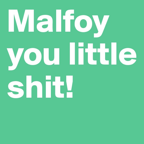 Malfoy you little shit!