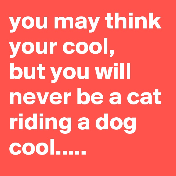 you may think your cool,
but you will never be a cat riding a dog cool.....