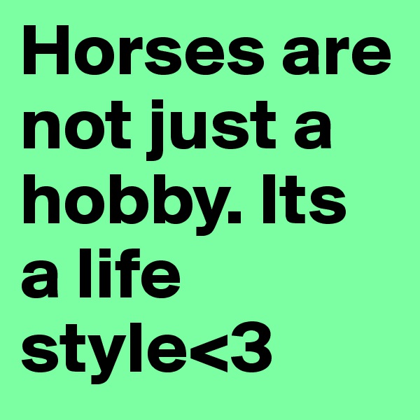 Horses are not just a hobby. Its a life style<3
