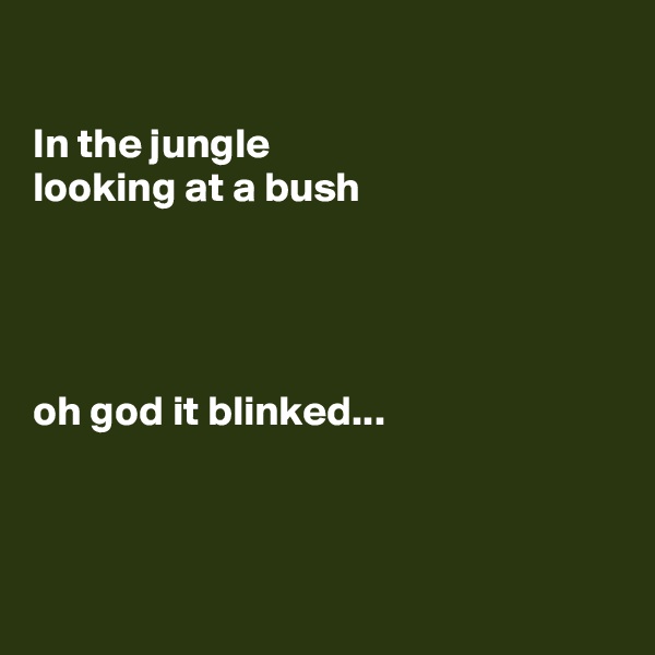 

In the jungle
looking at a bush




oh god it blinked...



