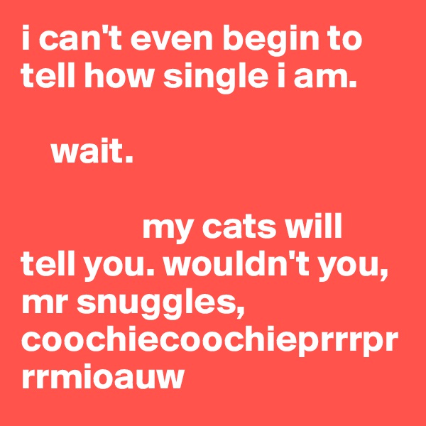 i can't even begin to tell how single i am. 

    wait. 

                my cats will tell you. wouldn't you, mr snuggles, coochiecoochieprrrprrrmioauw