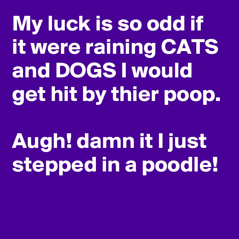 My luck is so odd if it were raining CATS and DOGS I would get hit by thier poop.

Augh! damn it I just stepped in a poodle!