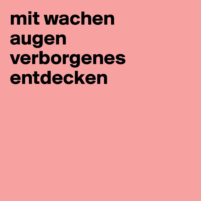 mit wachen
augen
verborgenes entdecken 




