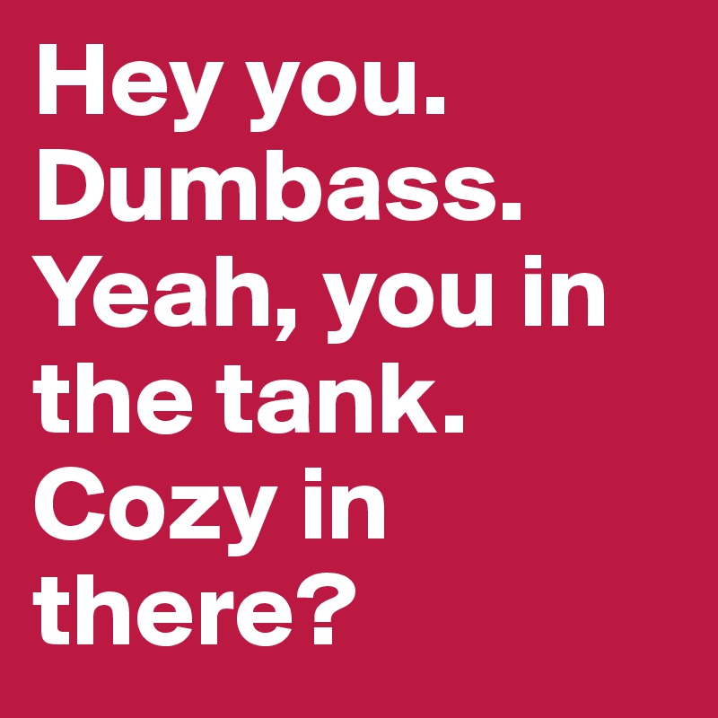 Hey you. Dumbass. Yeah, you in the tank. Cozy in there?