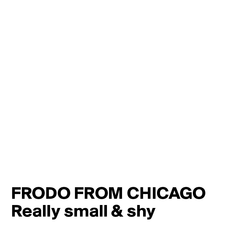    









FRODO FROM CHICAGO
Really small & shy