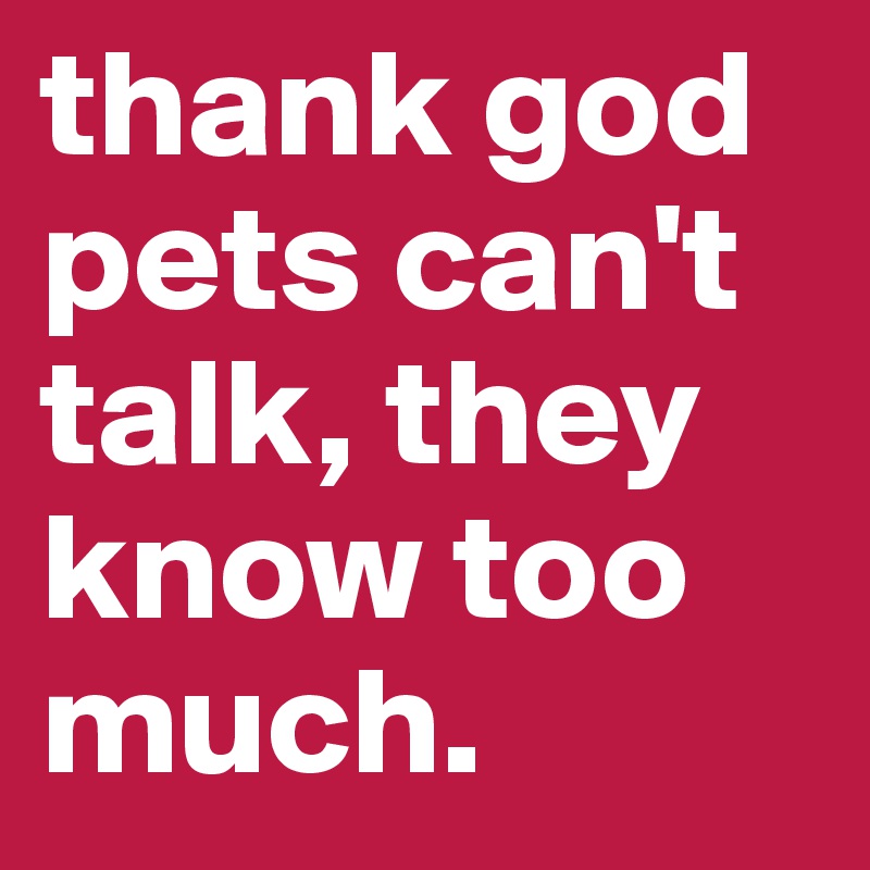 thank god pets can't talk, they know too much. 