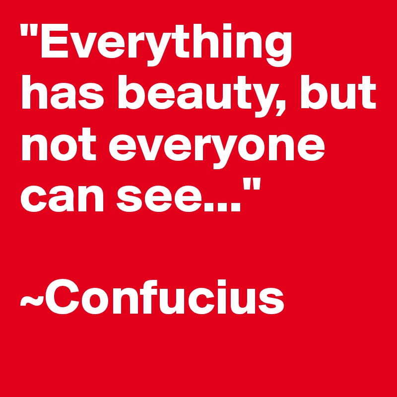 "Everything has beauty, but not everyone can see..."

~Confucius