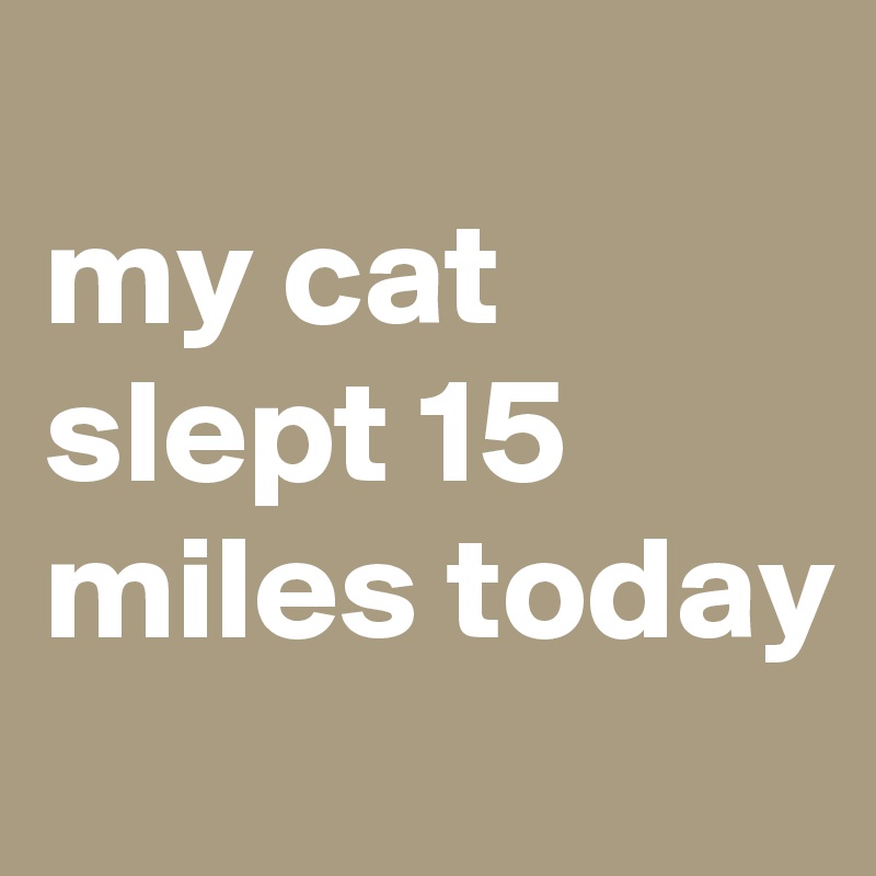 
my cat slept 15 miles today
