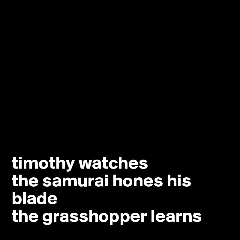 







timothy watches
the samurai hones his blade
the grasshopper learns