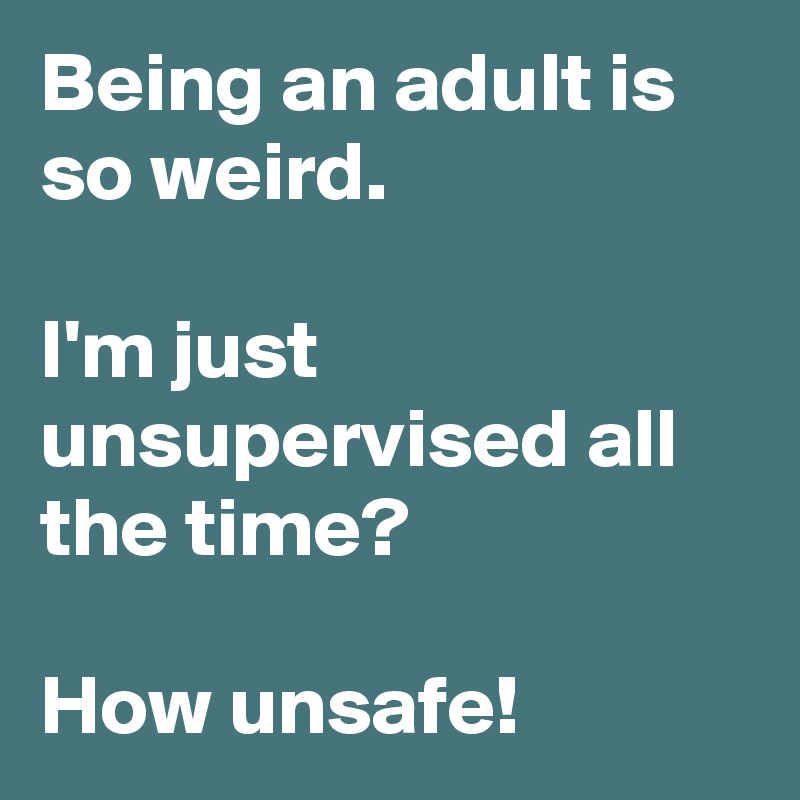 Being an adult is so weird.

I'm just unsupervised all the time?

How unsafe!