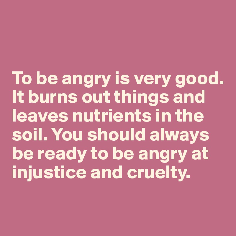 


To be angry is very good. It burns out things and leaves nutrients in the soil. You should always be ready to be angry at injustice and cruelty.

