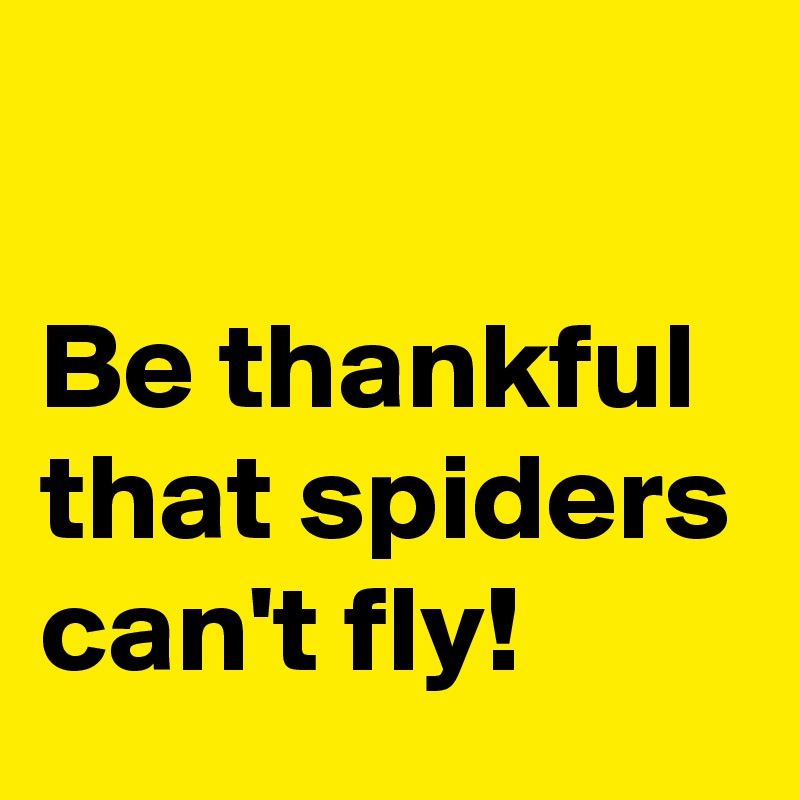 

Be thankful that spiders can't fly! 