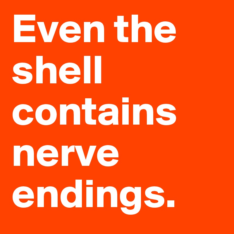 Even the shell contains nerve endings. 