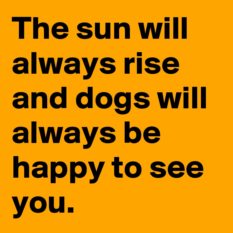 The sun will always rise and dogs will always be happy to see you.