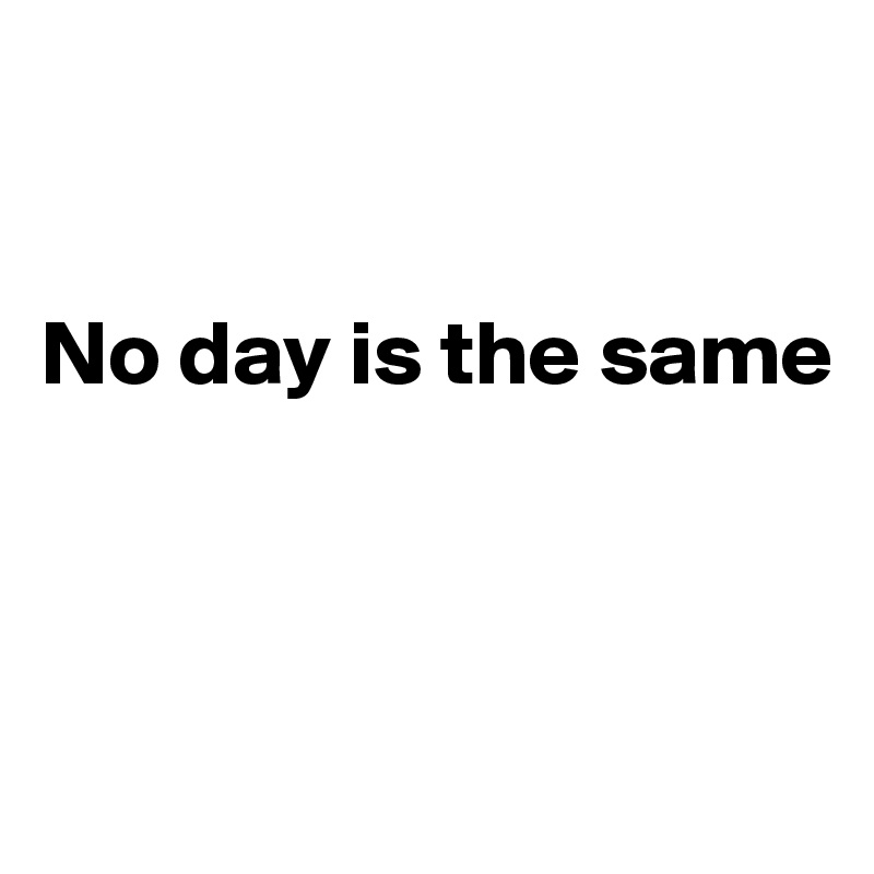 


No day is the same




