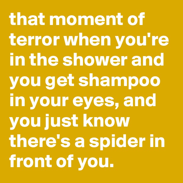 that moment of terror when you're in the shower and you get shampoo in your eyes, and you just know there's a spider in front of you.