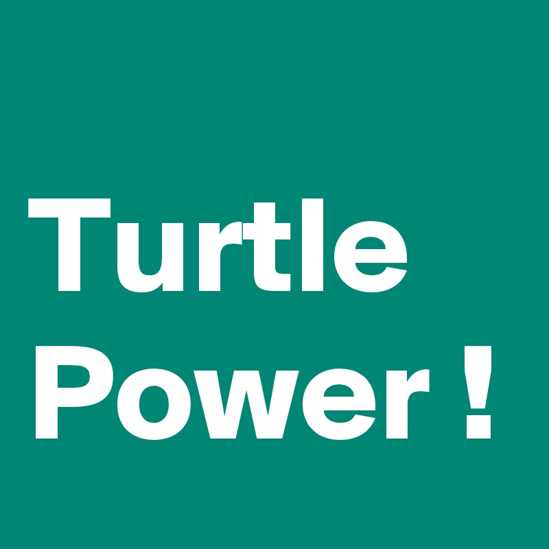 
Turtle Power !