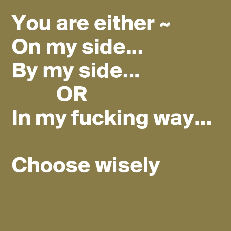 You are either ~
On my side...
By my side...
          OR
In my fucking way...

Choose wisely
