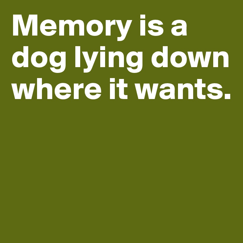 Memory is a dog lying down where it wants. 


