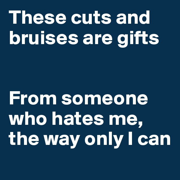 These cuts and bruises are gifts


From someone who hates me, the way only I can
