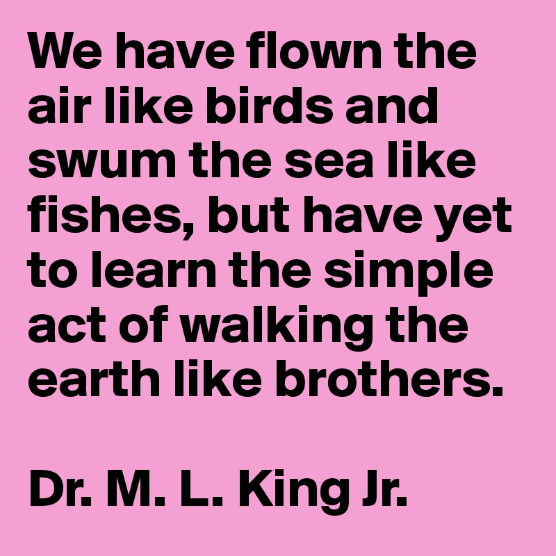 We have flown the air like birds and swum the sea like fishes, but have yet to learn the simple act of walking the earth like brothers. 

Dr. M. L. King Jr.