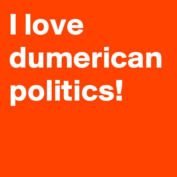 I love dumerican politics!