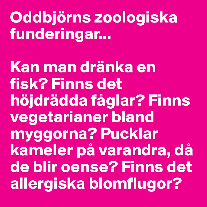 Oddbjörns zoologiska funderingar... 

Kan man dränka en fisk? Finns det höjdrädda fåglar? Finns vegetarianer bland myggorna? Pucklar kameler på varandra, då de blir oense? Finns det allergiska blomflugor? 