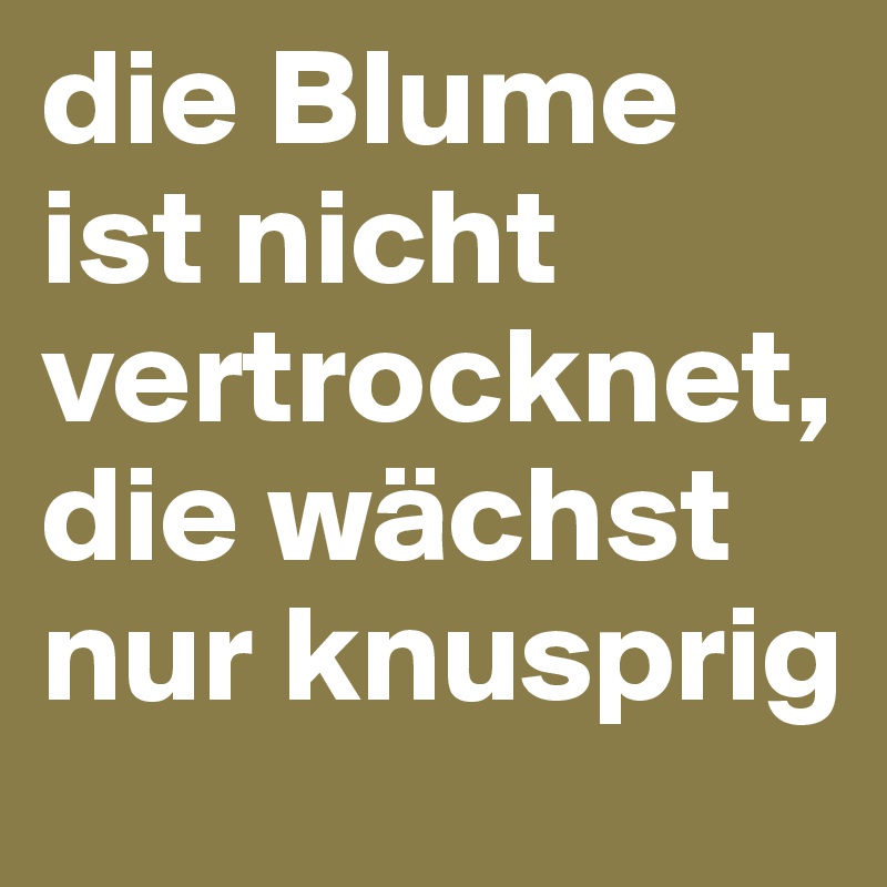 die Blume ist nicht vertrocknet, die wächst nur knusprig