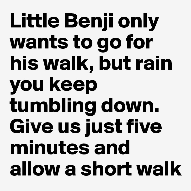 Little Benji only wants to go for his walk, but rain you keep tumbling down. Give us just five minutes and allow a short walk