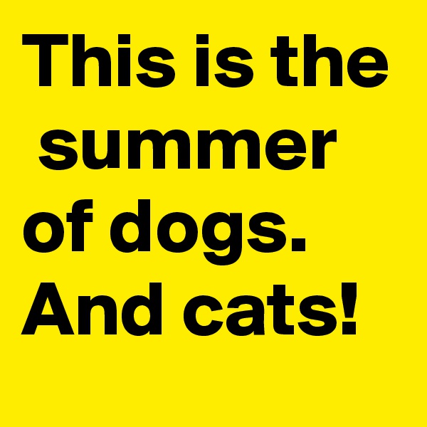 This is the  summer of dogs. And cats!