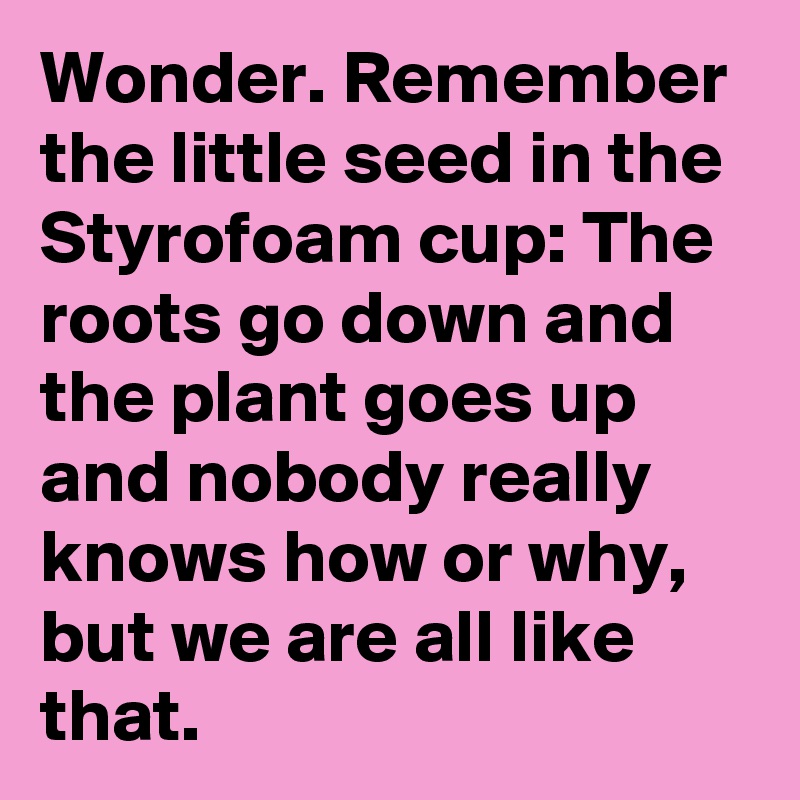 Wonder. Remember the little seed in the Styrofoam cup: The roots go down and the plant goes up and nobody really knows how or why, but we are all like that.