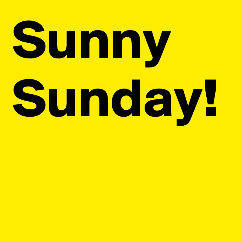 Sunny Sunday! 