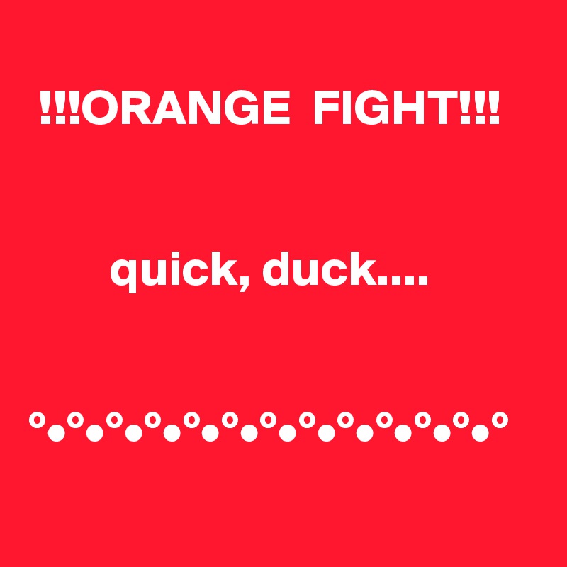 
 !!!ORANGE  FIGHT!!!


        quick, duck....


°•°•°•°•°•°•°•°•°•°•°•°•°