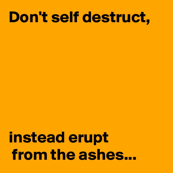 Don't self destruct, 






instead erupt
 from the ashes...