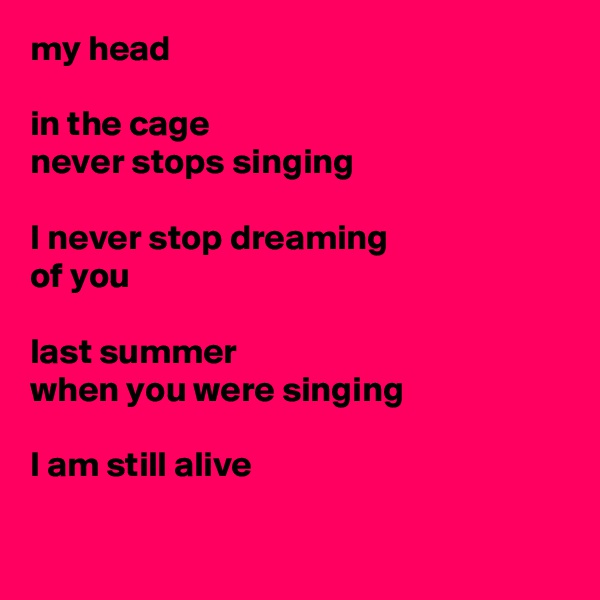 my head

in the cage
never stops singing

I never stop dreaming
of you 

last summer
when you were singing

I am still alive

