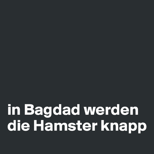 





in Bagdad werden die Hamster knapp