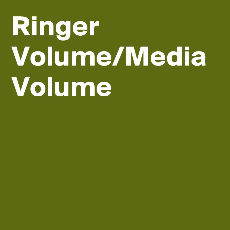 Ringer Volume/Media Volume