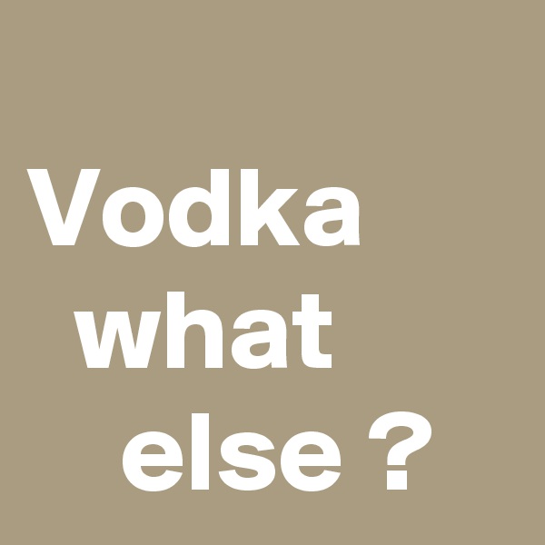 
Vodka
  what
    else ?  