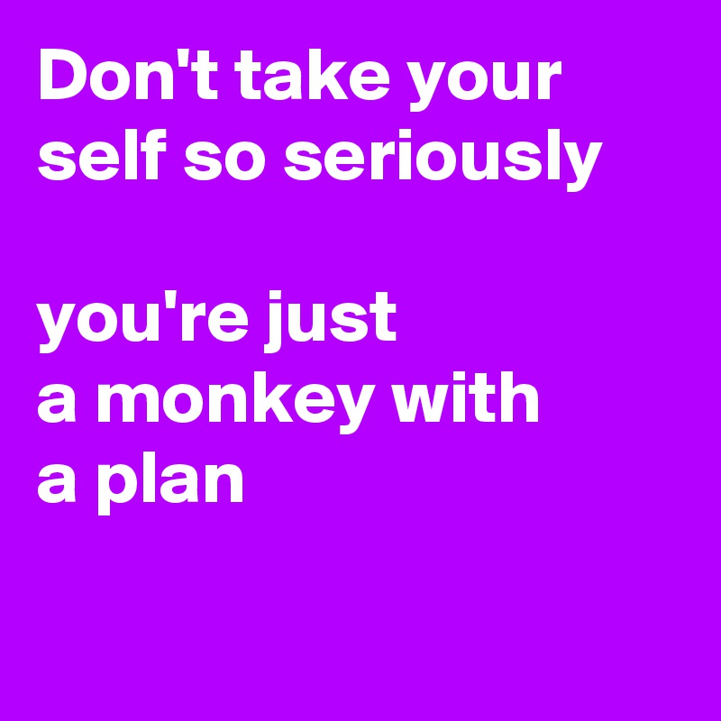 Don't take your self so seriously

you're just 
a monkey with 
a plan

