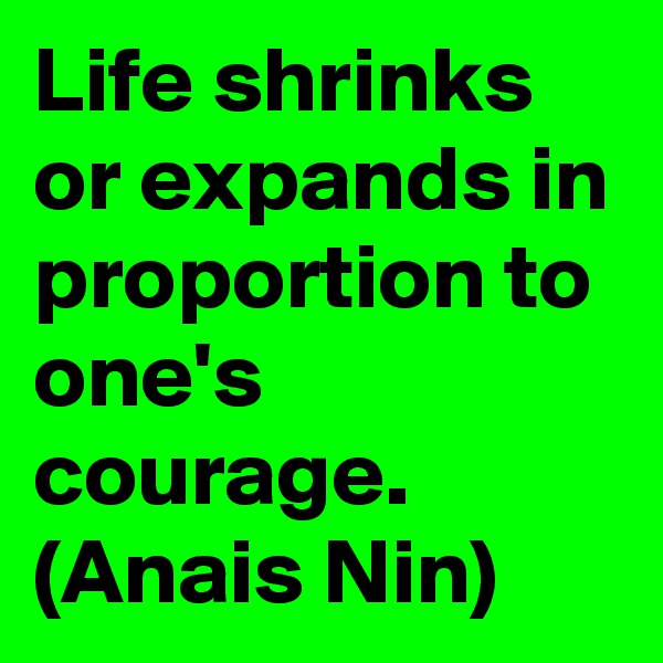 Life shrinks or expands in proportion to one's courage.
(Anais Nin)