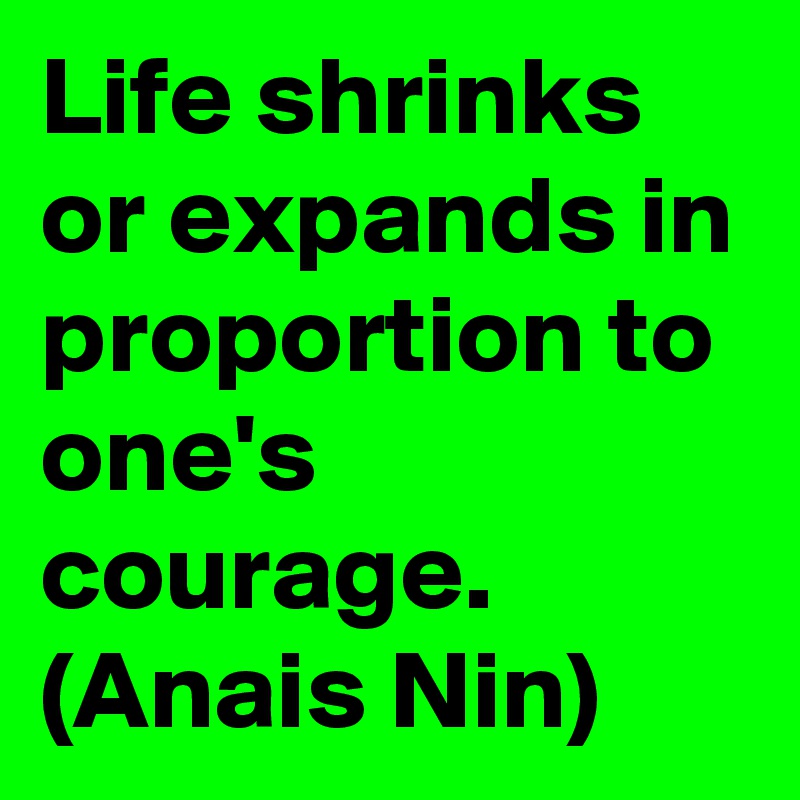 Life shrinks or expands in proportion to one's courage.
(Anais Nin)