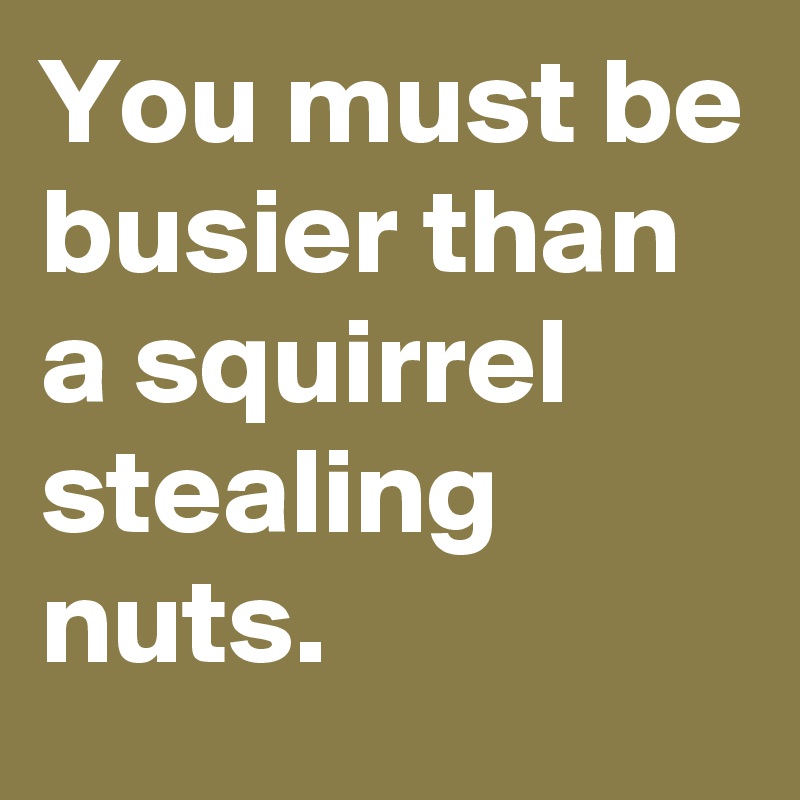 You must be busier than a squirrel stealing nuts.