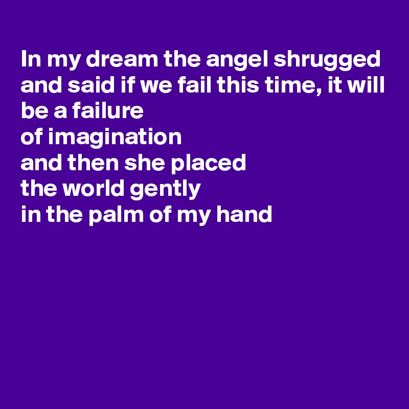 
In my dream the angel shrugged 
and said if we fail this time, it will be a failure 
of imagination 
and then she placed
the world gently 
in the palm of my hand





