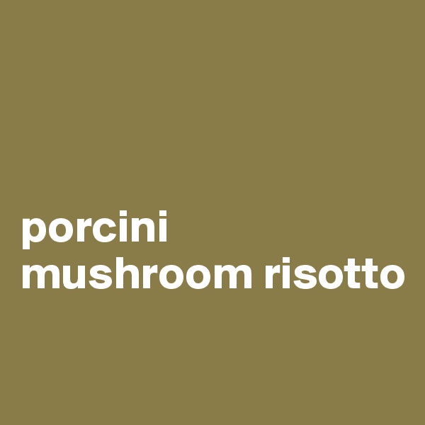 



porcini mushroom risotto

