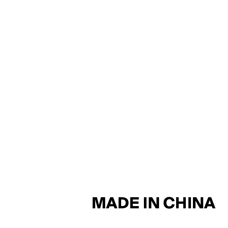 










                        MADE IN CHINA