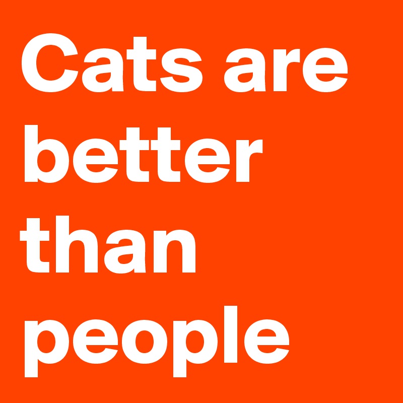 Cats are better than people