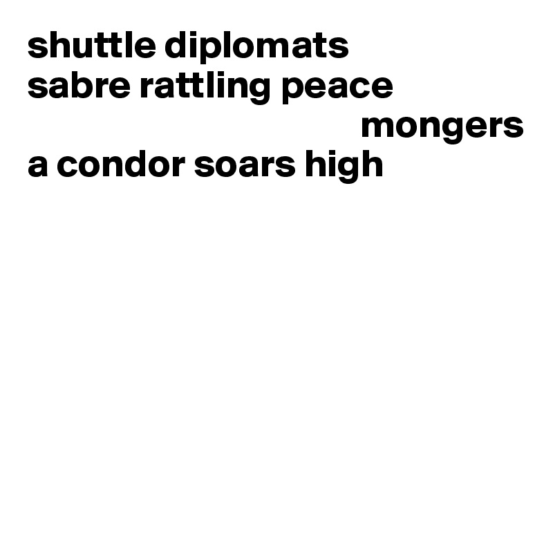 shuttle diplomats
sabre rattling peace    
                                          mongers 
a condor soars high







